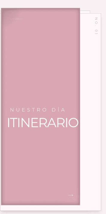 Detalle de tipografía elegante.